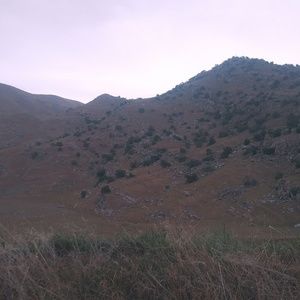 Meet your Posher, Destinee